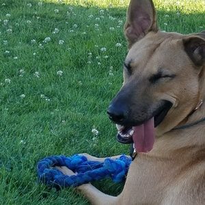 Meet your Posher, Kelli